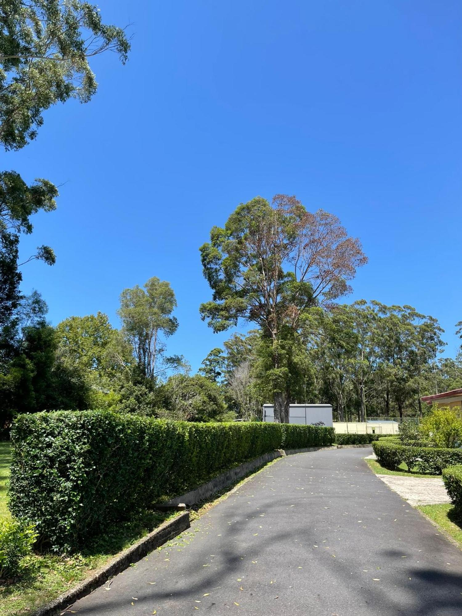 Major Innes Motel Port Macquarie Exterior foto