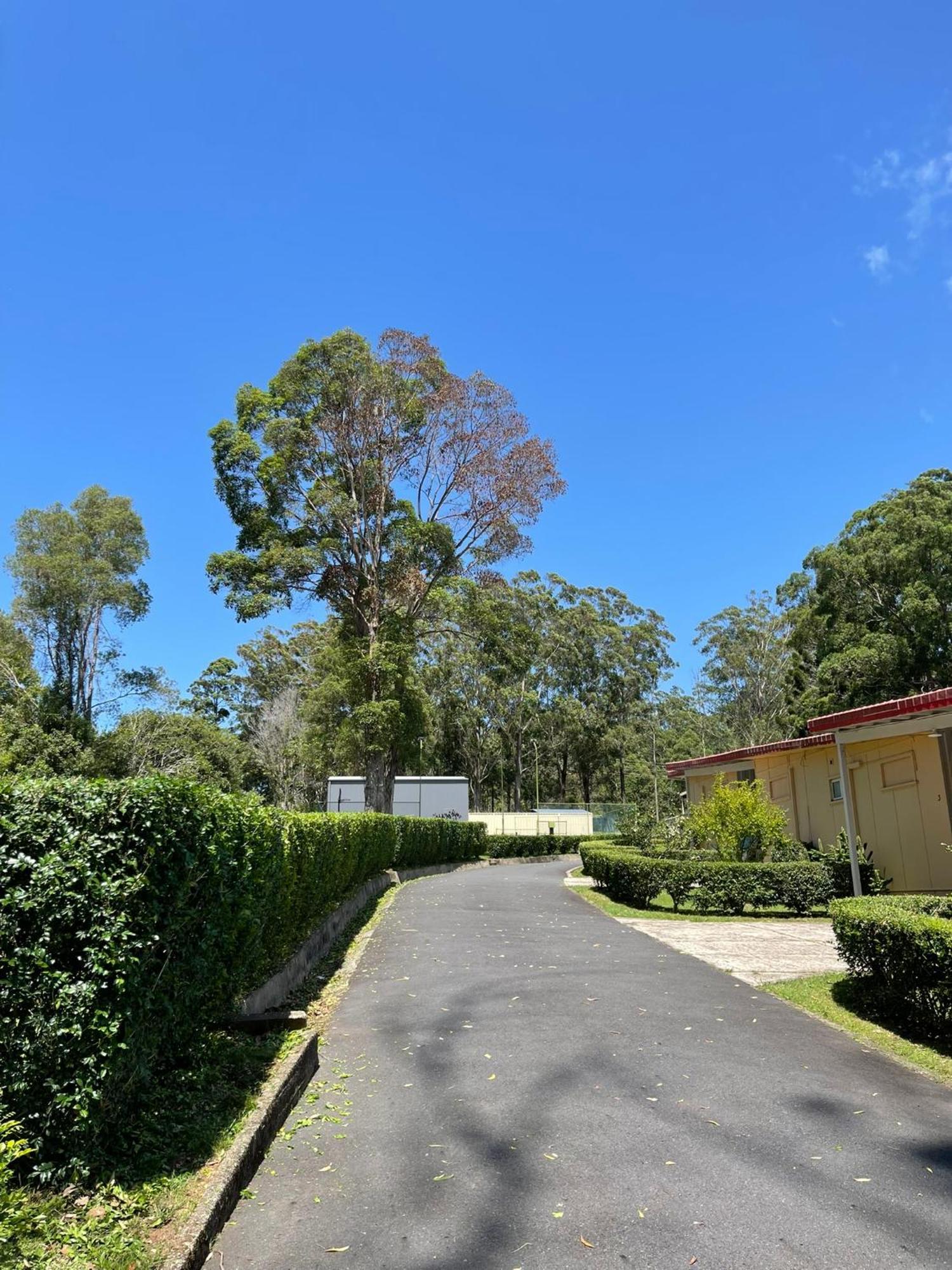 Major Innes Motel Port Macquarie Exterior foto