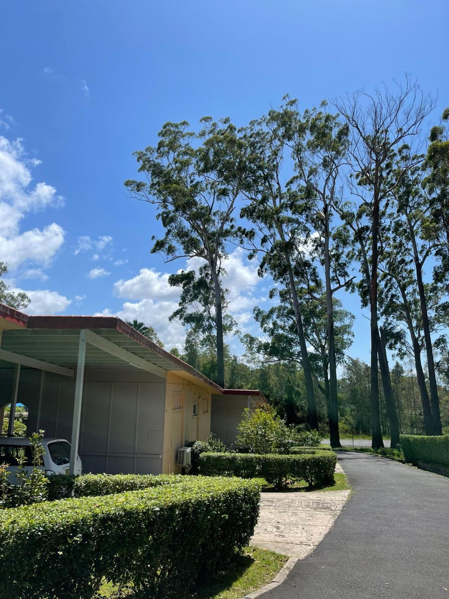 Major Innes Motel Port Macquarie Exterior foto